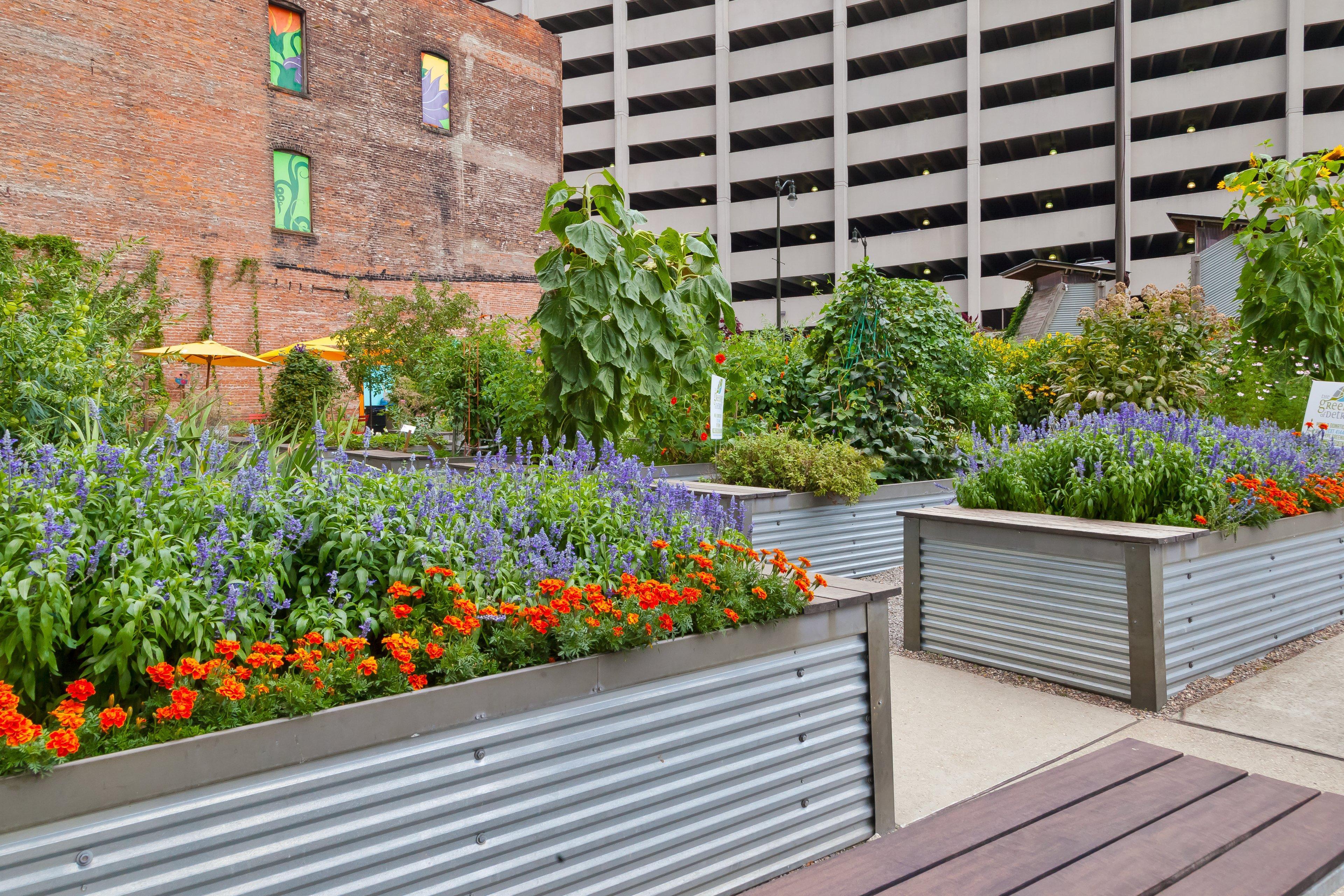 Hotel Indigo Detroit Downtown By Ihg Exterior photo
